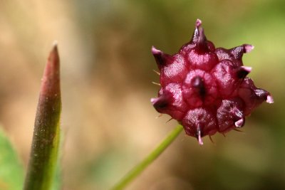 g1/67/34567/3/127270784.qziVS7Cm.jpg