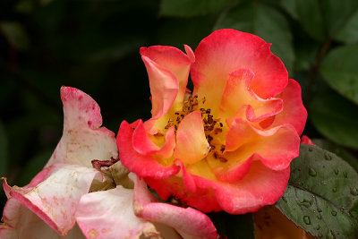 g1/67/34567/3/127428836.Fzcnwdbz.jpg