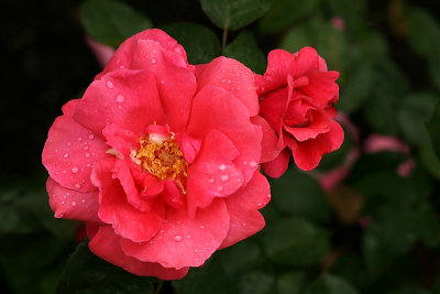 g1/67/34567/3/127449736.mcAsZc4G.jpg