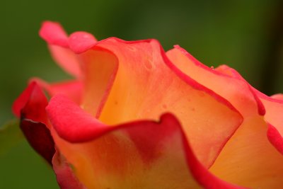 g1/67/34567/3/127567448.a1uVOS4s.jpg