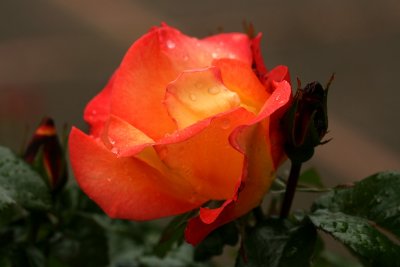 g1/67/34567/3/127702887.WlzuYQNM.jpg