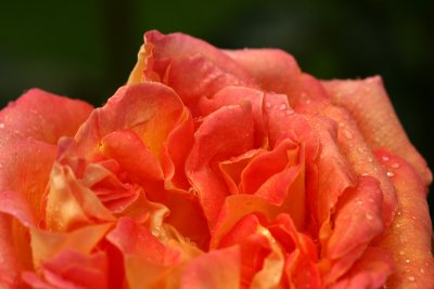 g1/67/34567/3/127704309.qXwLSDwX.jpg