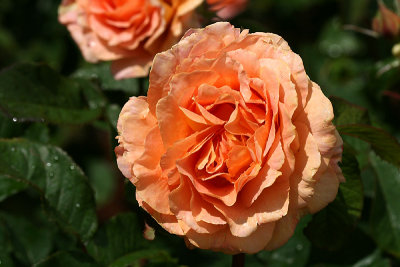 g1/67/34567/3/127704603.5QTV93H5.jpg