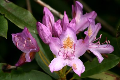 g1/67/34567/3/128123574.hd8RLY6f.jpg