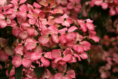 g1/67/34567/3/128136336.Yd0bD525.jpg