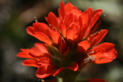 g1/67/34567/3/128173120.D2zaybR9.jpg