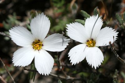g1/67/34567/3/128175335.UrVEoa1Q.jpg