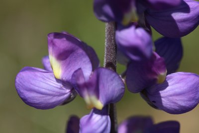 g1/67/34567/3/128175568.C05HJ9IL.jpg