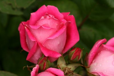 g1/67/34567/3/128354927.O2Gpub5B.jpg