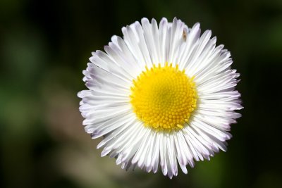 g1/67/34567/3/128436086.Fk6CtcLz.jpg