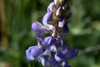 g1/67/34567/3/128446081.r0oEqA8j.jpg