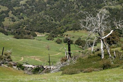 The trailhead in the distance