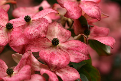 g1/67/34567/3/128507782.qRPhw7QX.jpg
