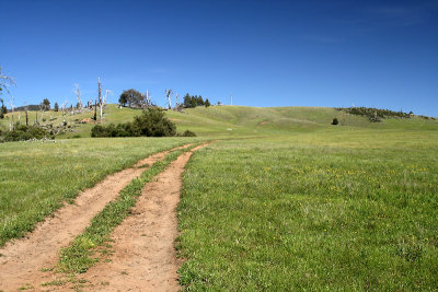 g1/67/34567/3/128548809.NwrIlK6S.jpg