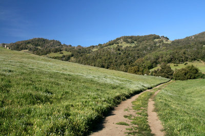 g1/67/34567/3/128586930.TRrTowif.jpg
