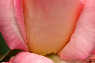 g1/67/34567/3/128657931.PyixXdfc.jpg
