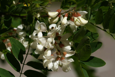 g1/67/34567/3/129047243.twkZJHWa.jpg
