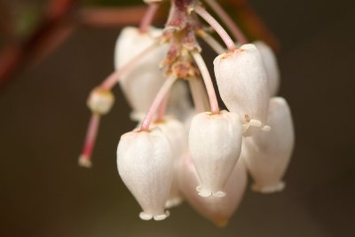 g1/67/34567/3/130463096.L8krIdEc.jpg