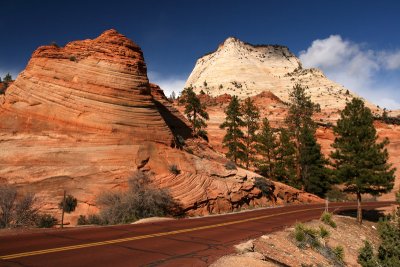 Zion March 2009