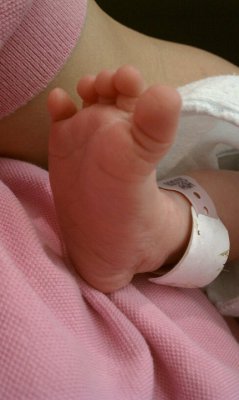 foot