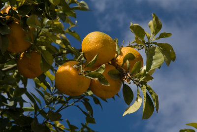 marrakech 5.jpg