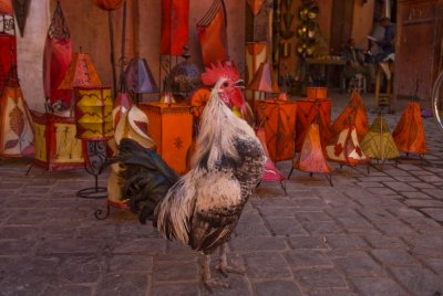 marrakech 8.jpg