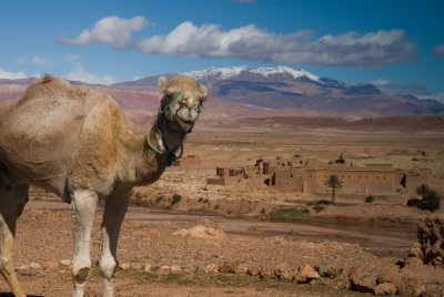 ait benhaddou 1.jpg
