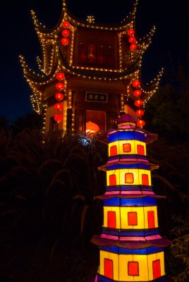 DSC_5431.jpg