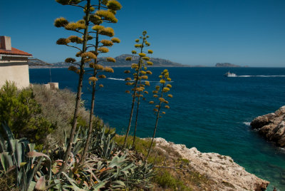 DSC_9266.jpg