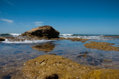 DSC_9324.jpg