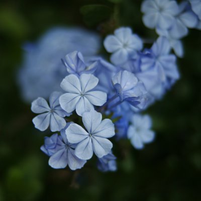 webjanMG_2691.jpg