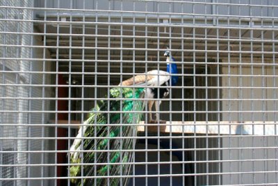 _MG_1624.jpg