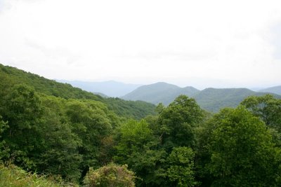 _MG_2295.jpg