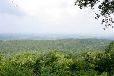_MG_2339.jpg