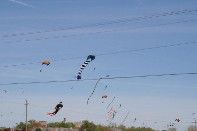 _MG_9829.jpg