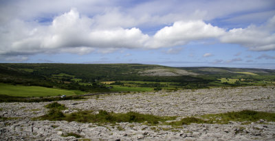 _MG_2613.jpg