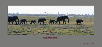 Elefantmarch2.jpg