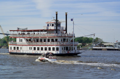 Savannah