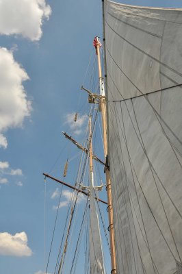 6459.jpg