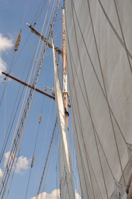 6461.jpg