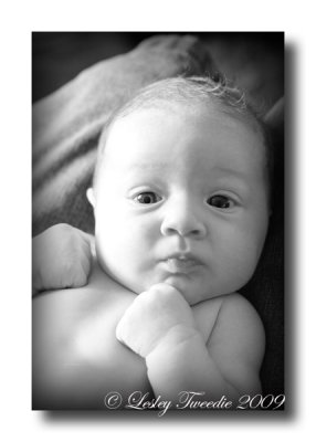 DSC_7463bw.jpg