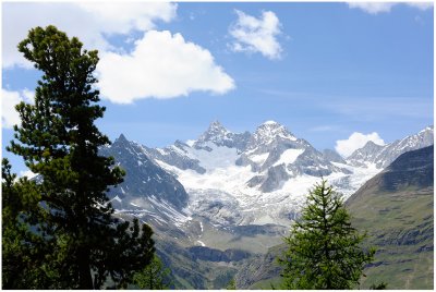 Ober Gabelhorn, Wellenkuppe