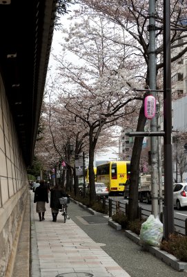 Yasukini Street.jpg