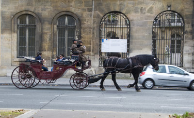 Horse drawn carriage in Paris.jpg