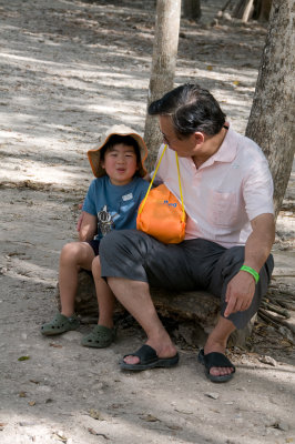 Under The Tree With Grandpa