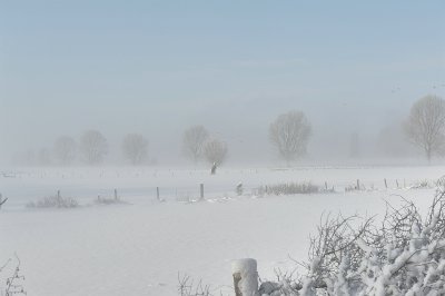 g1/67/546967/3/131299669.tB8fPOW9.jpg