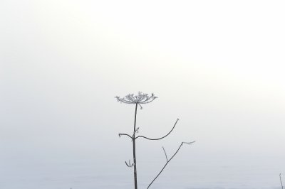 g1/67/546967/3/131299676.ZB1O7OXL.jpg