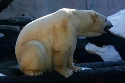 IMG_0118.JPG
