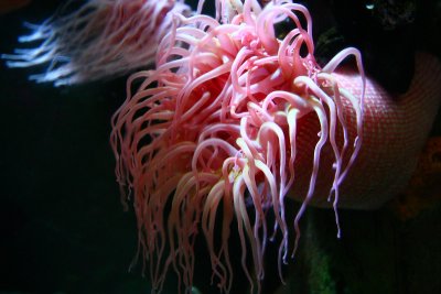 IMG_0366.JPG