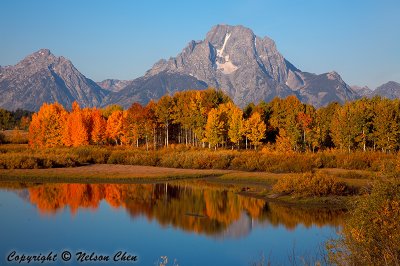 Teton Fall Colors in the Morning Light